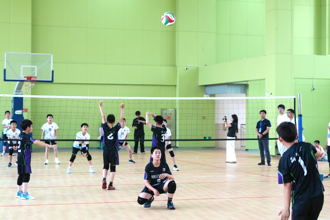 DSC08740.jpg