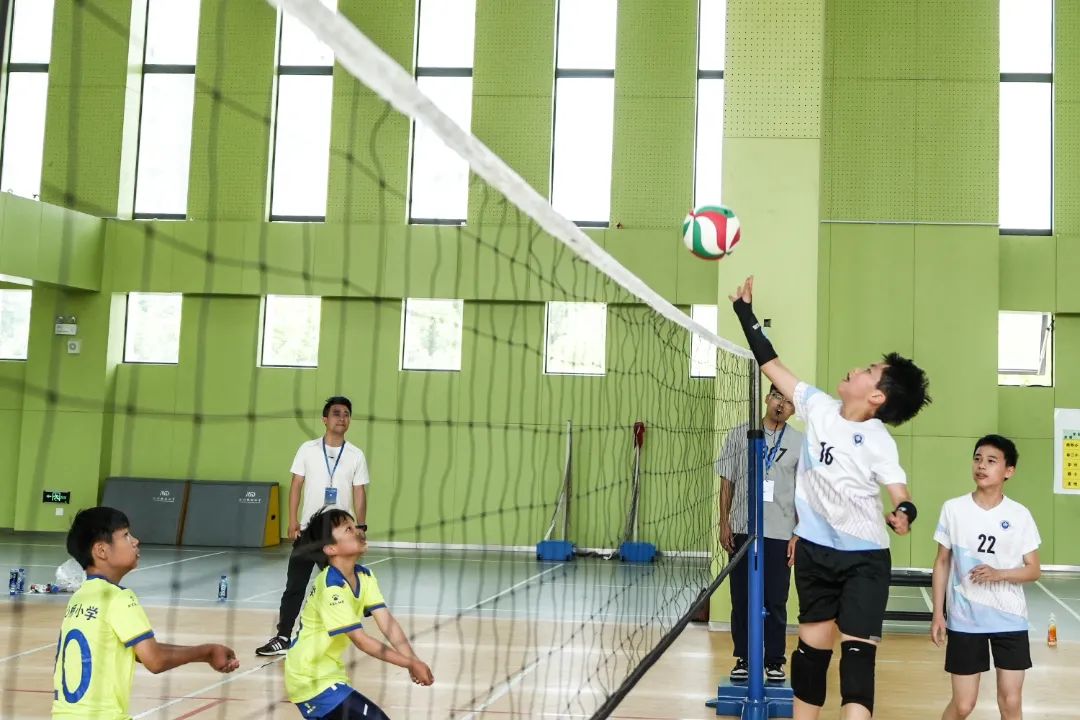 DSC08132.jpg