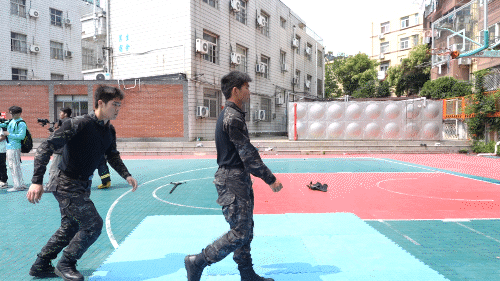 格斗.gif