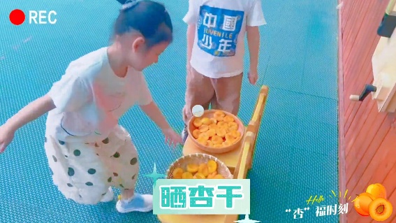 微信图片_20250526104036_副本.jpg