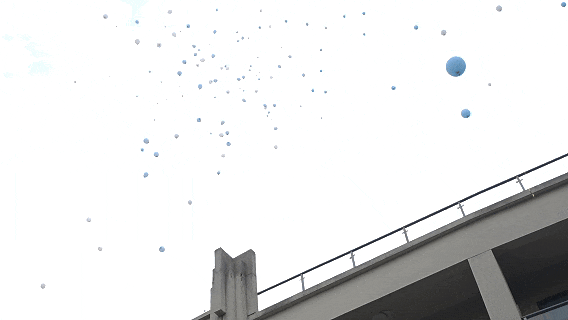 6月25日(1).gif
