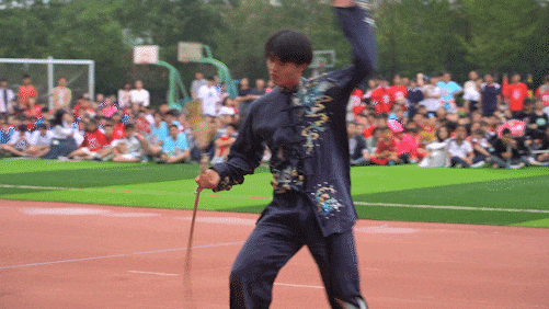 武术2.gif