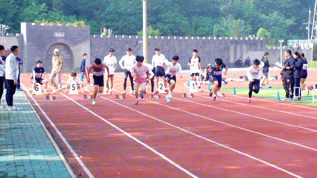田径3.gif