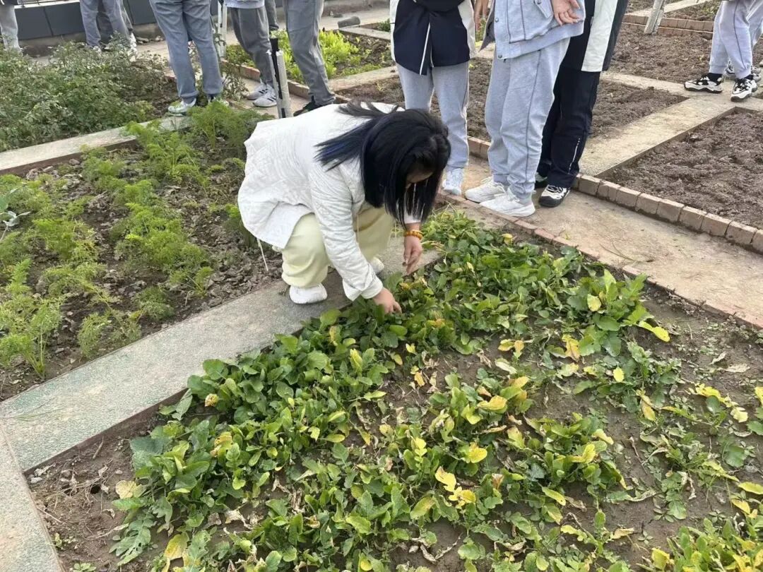 13881761612345_.pic_hd.jpg