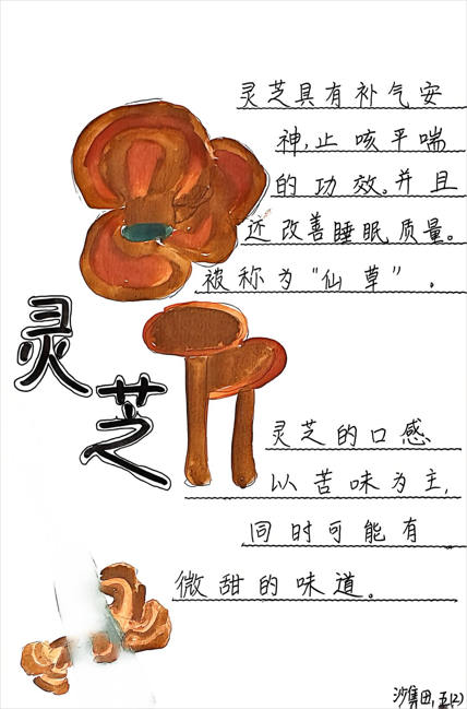 360截图20251106171355.png