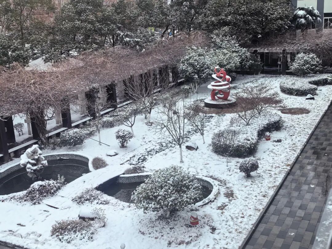 南京初雪如约而至!来看梅山二中学子“撒欢”的快乐模样~