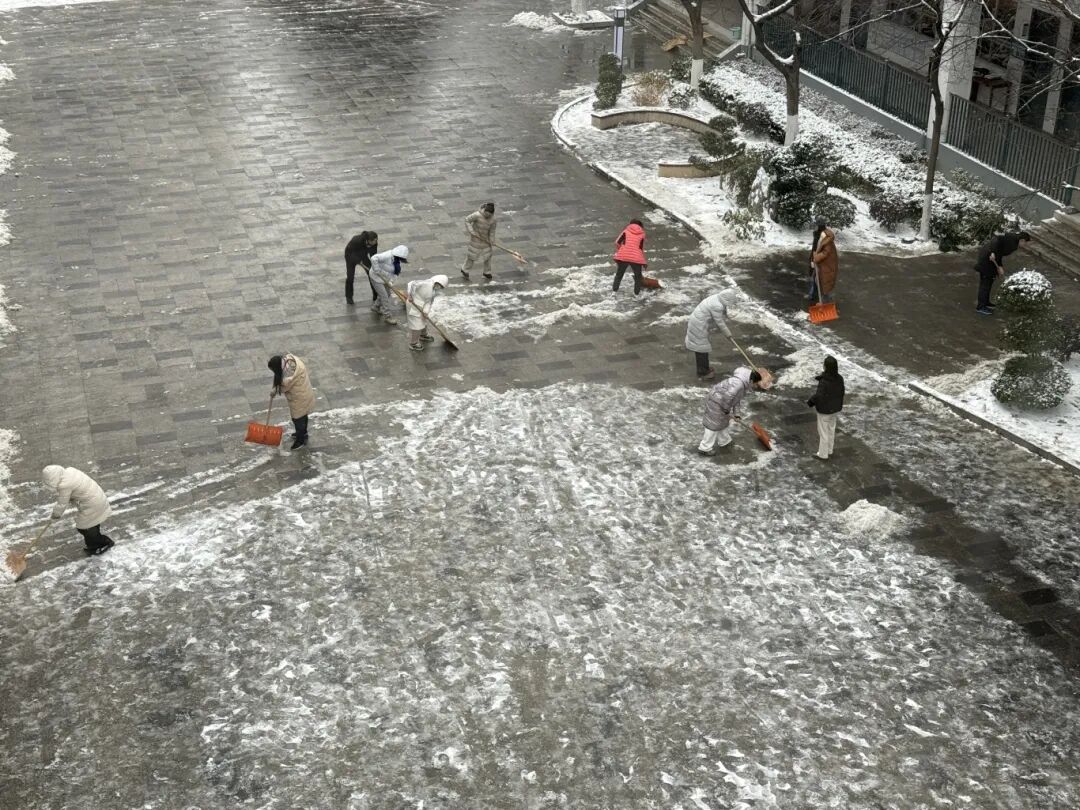 微信图片_20260120092535_543_161.JPG