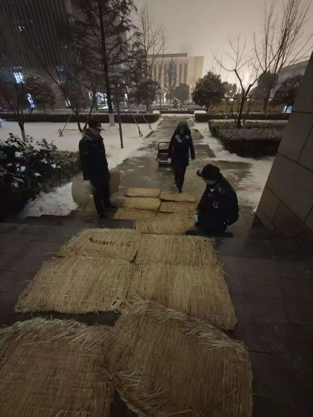 微信图片_20260120080332_3459_31.jpg