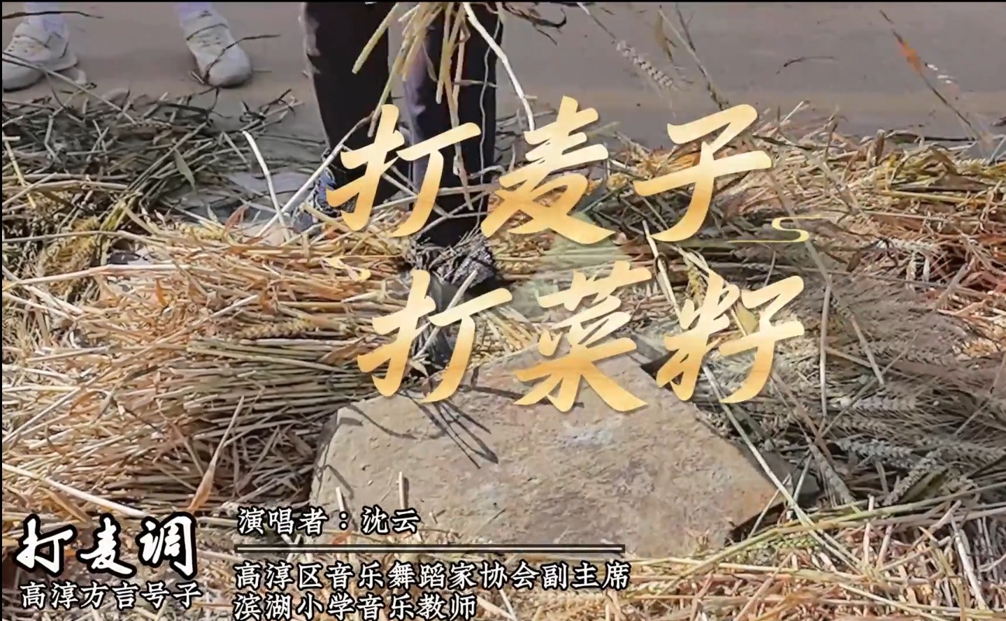 小芦娃打麦子打菜籽啦