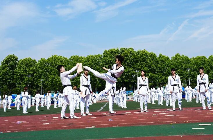 DSC03620__27848783.jpg