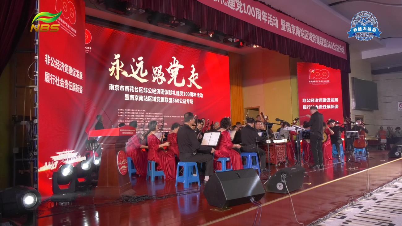 南京雨花非公经济团体公益活动献礼建党100周年