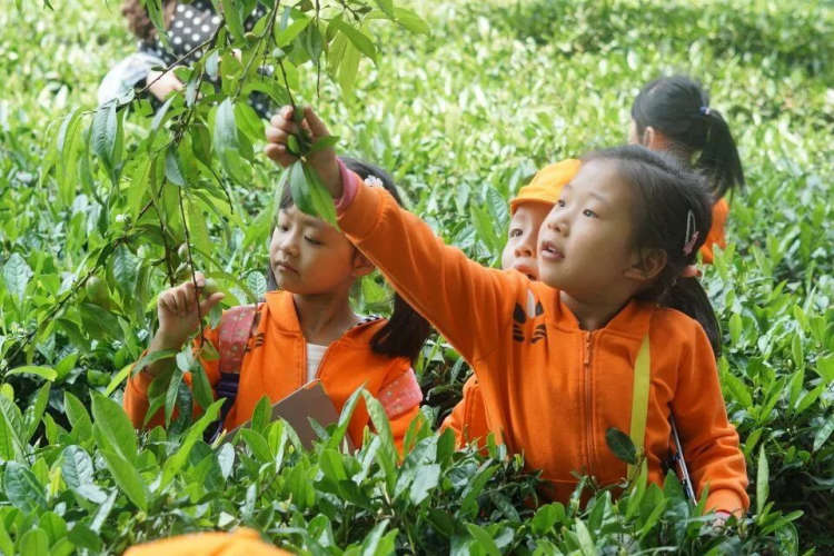 耕耘·我们的教育答卷——雨花台区学校特色与品牌系列报道8