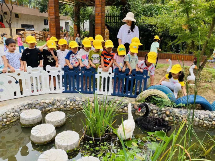 耕耘·我们的教育答卷——雨花台区学校特色与品牌系列报道13