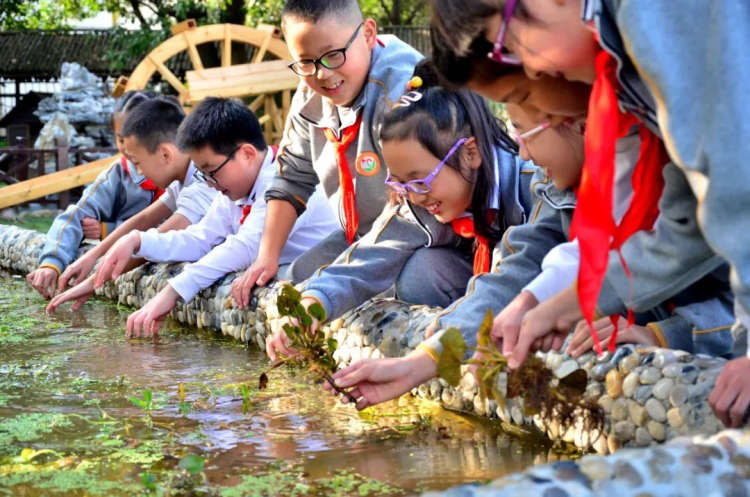 耕耘·我们的教育答卷——雨花台区学校特色与品牌系列报道5