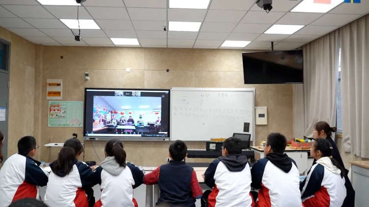 南京市后标营小学开展线上跨境交流活动 