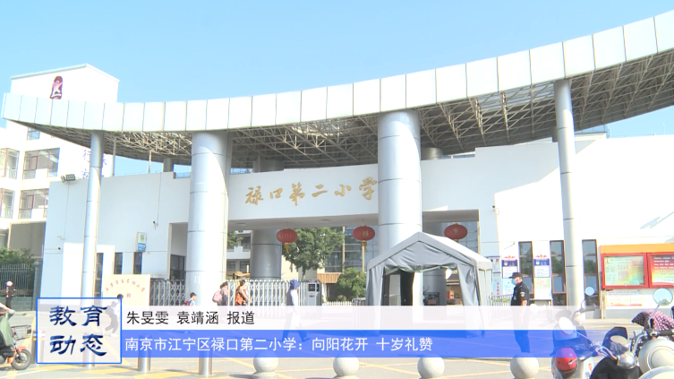 南京市江宁区禄口第二小学:向阳花开 十岁礼赞