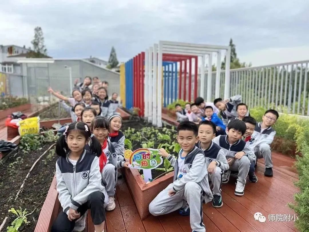 【趣种植·悦劳动】师院附小2023年秋季种植活动开始啦!