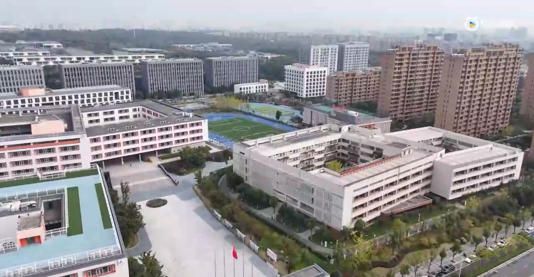 20231016《牛咔视频》南外雨花国际学校中学部第五届体育节暨阳光体育体测联赛花絮