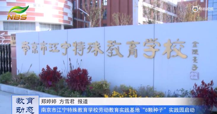 20231111《牛咔视频》南京市江宁特殊教育学校劳动教育实践基地 ——“8颗种子”实践园启动