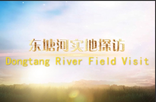东塘河实地探访