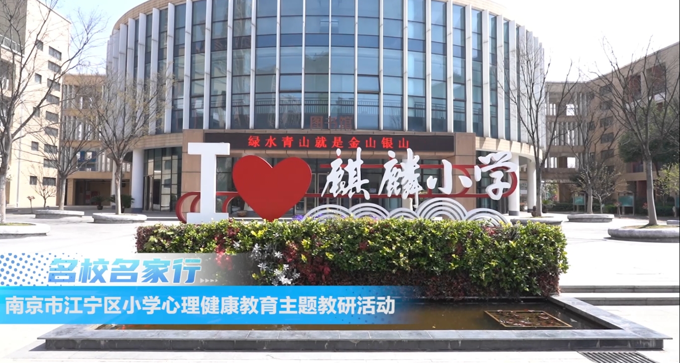 南京市江宁区小学心理健康教育主题教研活动