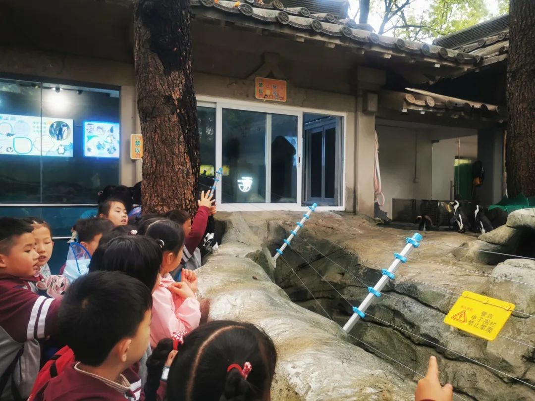 【相长·德育】贤达少年,立志强国——立贤小学春游实践活动