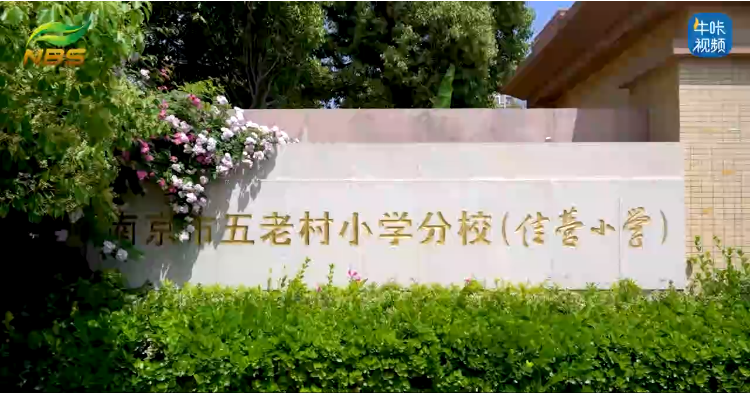 20240605《牛咔视频》南京市佳营小学古诗词大赛决赛