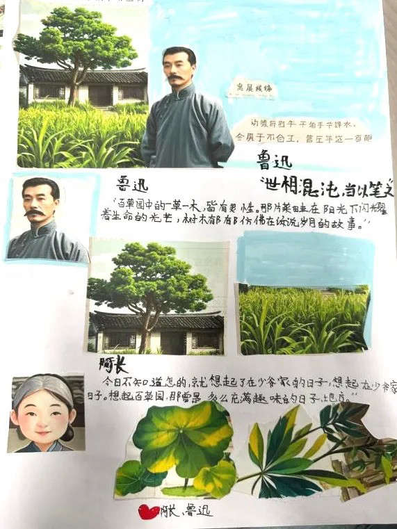 【红藤•双减特色】智“研”作业,各展特色,这些作业有点儿意思