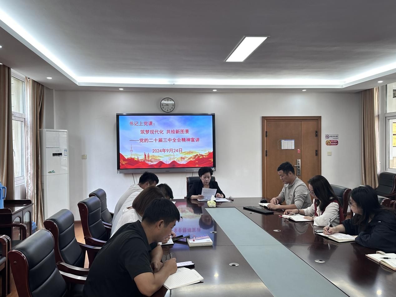 南京市空港小学党支部开展二十届三中全会专题宣讲会
