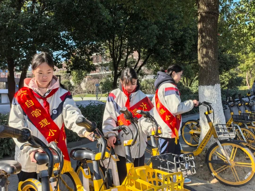 缤纷寒假,活力“巳蛇”——金陵中学西善分校特色活动精彩回顾