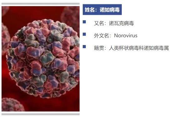 【相长·健康】孩子呕吐腹泻,当心诺如病毒!