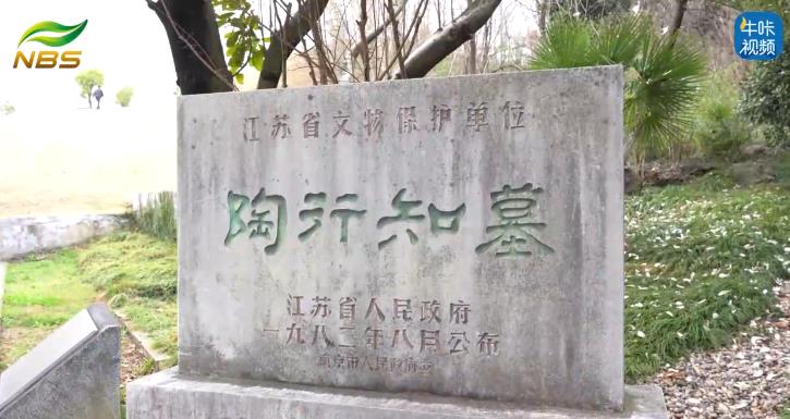 20250409《牛咔视频》南京晓庄学院师生集体拜谒陶墓