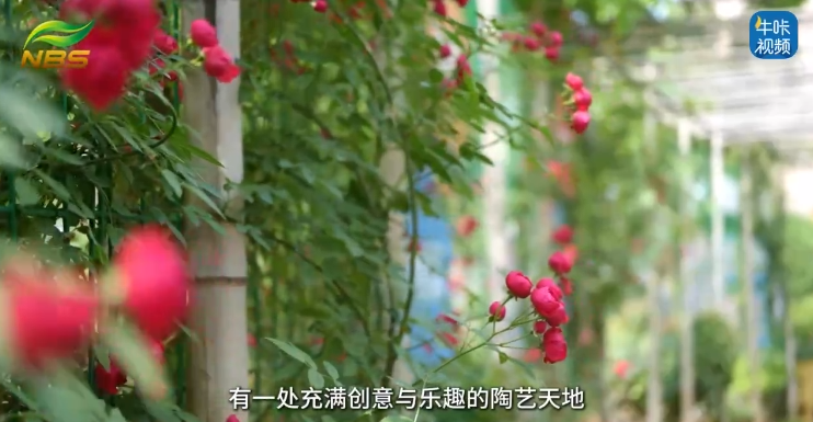 20250525《牛咔视频》南京市白下高新小学:陶润童心坊