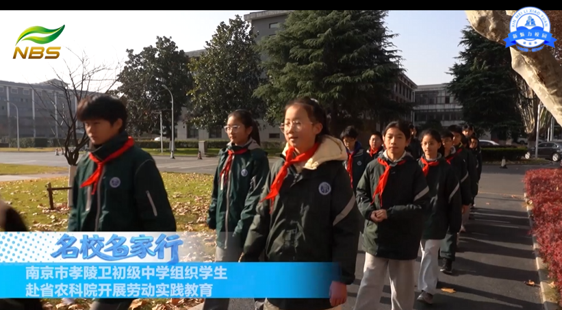 南京市孝陵卫初级中学组织学生赴省农科院开展劳动实践教育