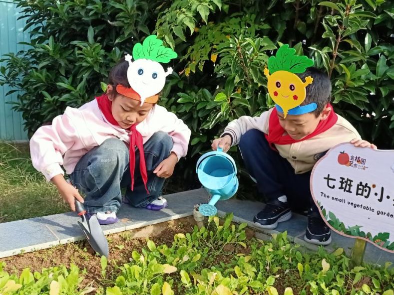 玩学融通:儿童本位的项目化课程建构与实施——让课堂变身孩子超爱的“玩学花园”