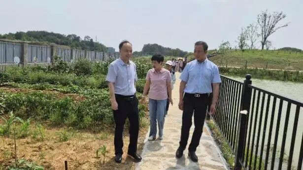 童心粽意 联融万家——高淳区滨湖小学'庆六一·迎端午'主题活动