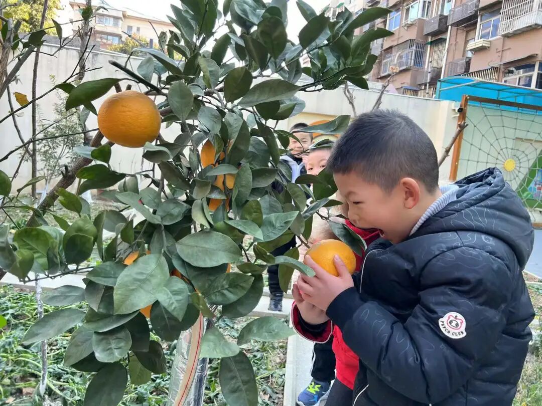 微信图片_2021122715522222.jpg