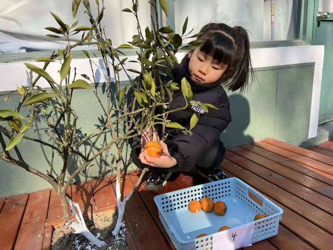 微信图片_2021122715522230.jpg