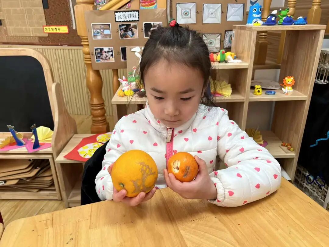 微信图片_202112271552235.jpg