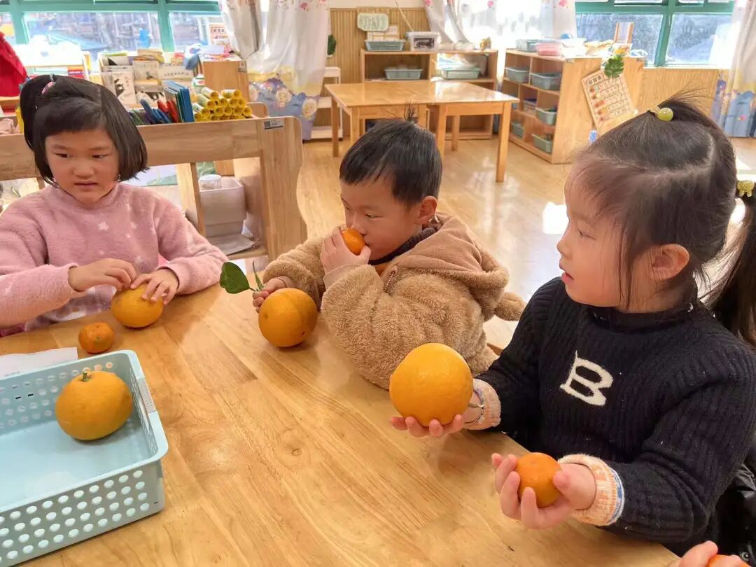 微信图片_202112271552234.jpg