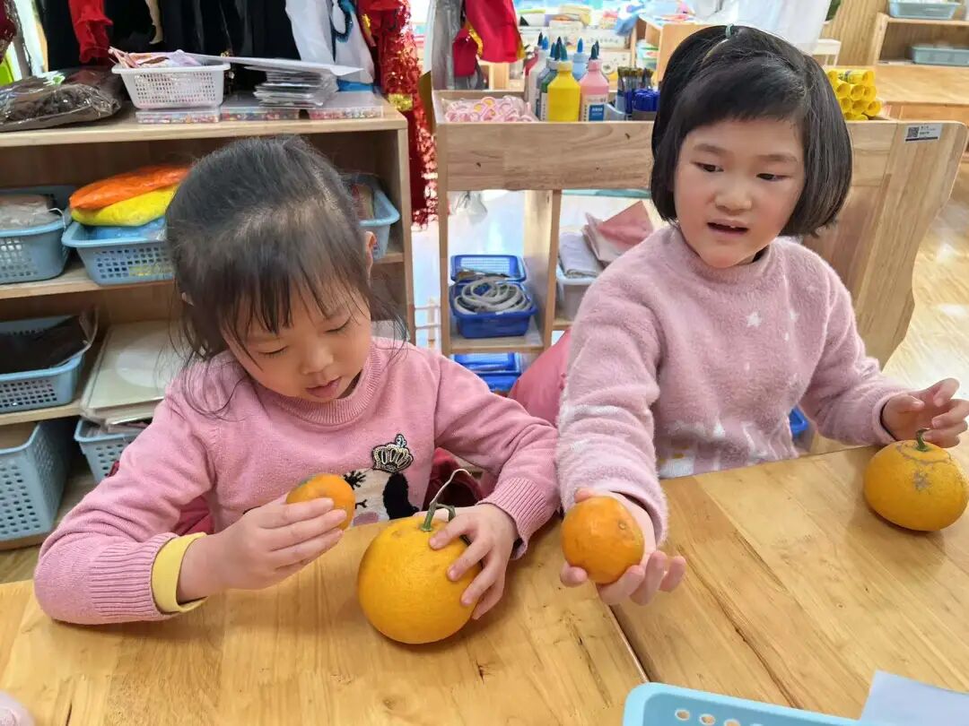 微信图片_202112271552237.jpg