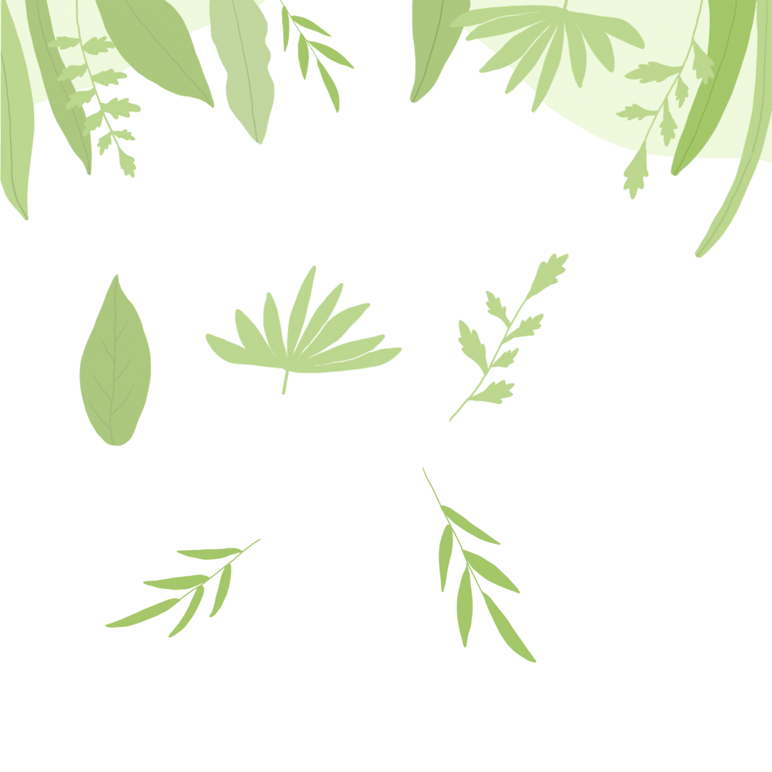 IMG_4752.PNG