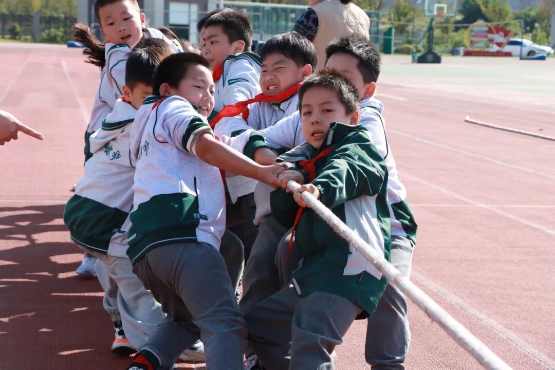 https://jtxww2.oss-cn-hangzhou.aliyuncs.com/uploads/2026/10/02/1790973001032_d268d11c01b5e290.jpg